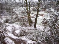 Blackheath in the snow, 
      South London, UK